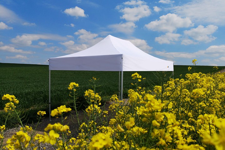 2x3 ballīšu izstāžu telts